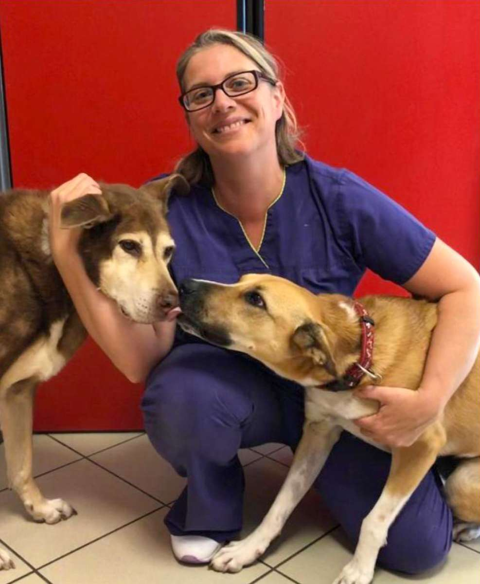 femme assistante vétérinaire qui sourit avec un chien sous chaque bras