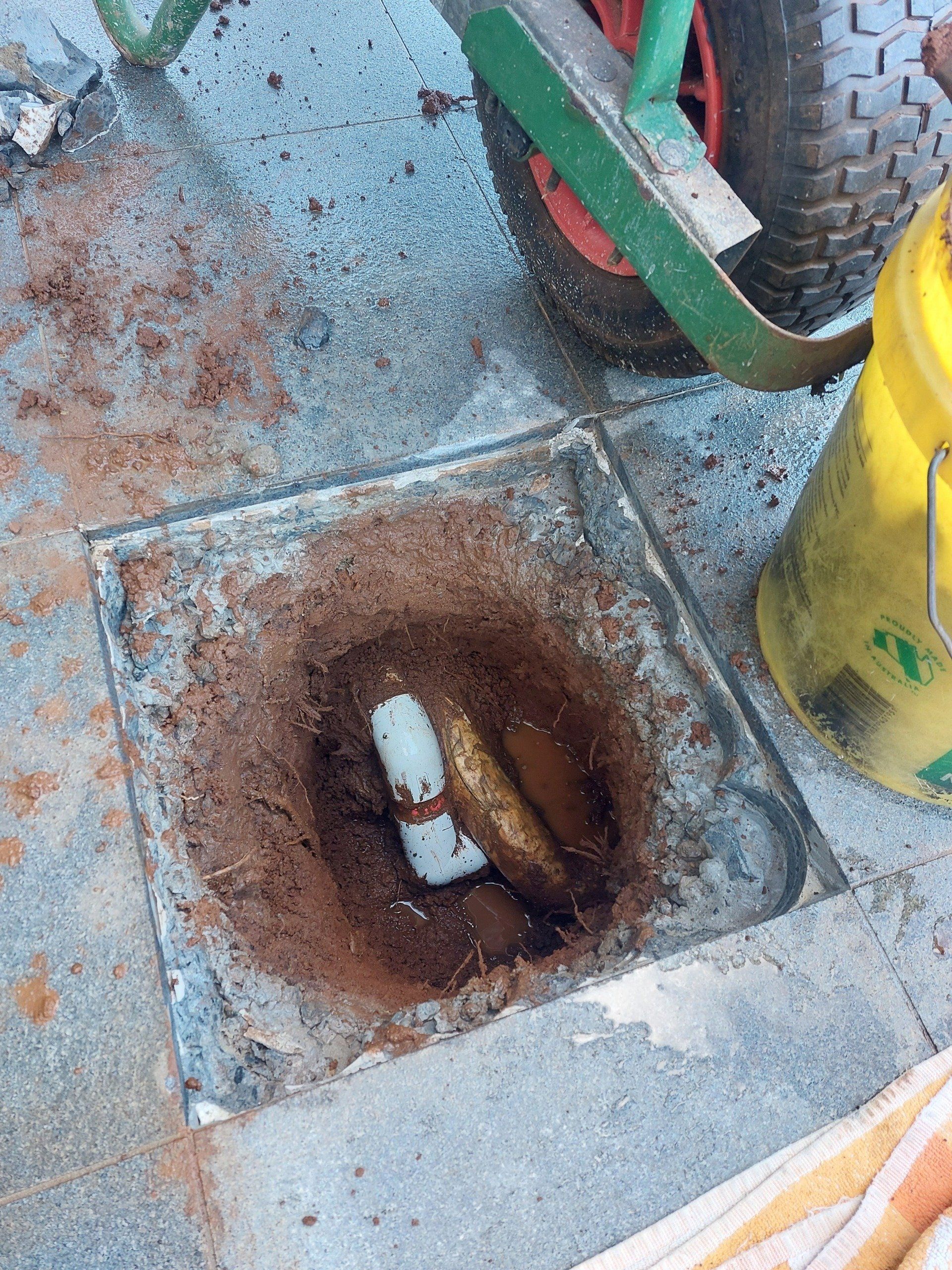 A white pipe is sticking out of a hole in the ground next to a yellow bucket.