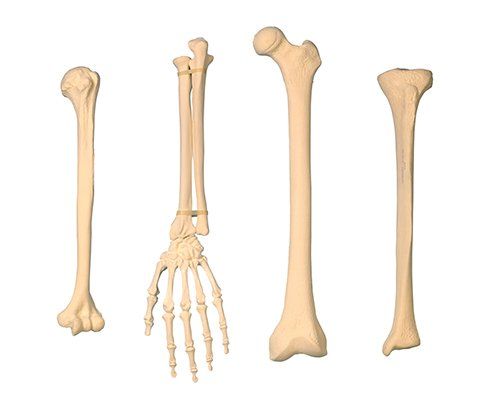 Bone harvesting