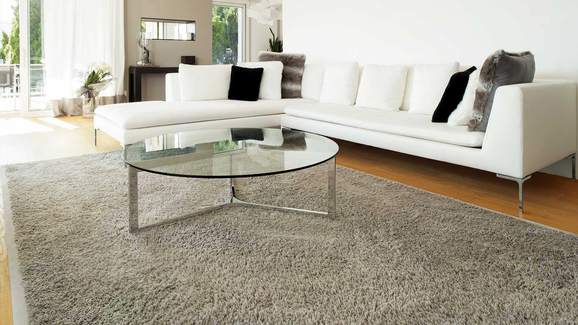 Clean carpet in living room