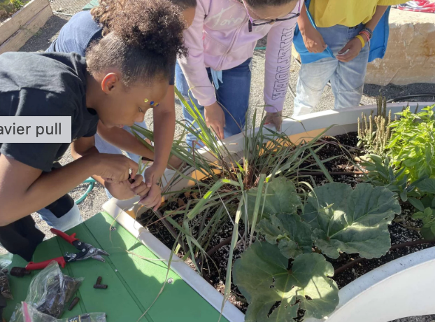 A group of children are working in a garden.