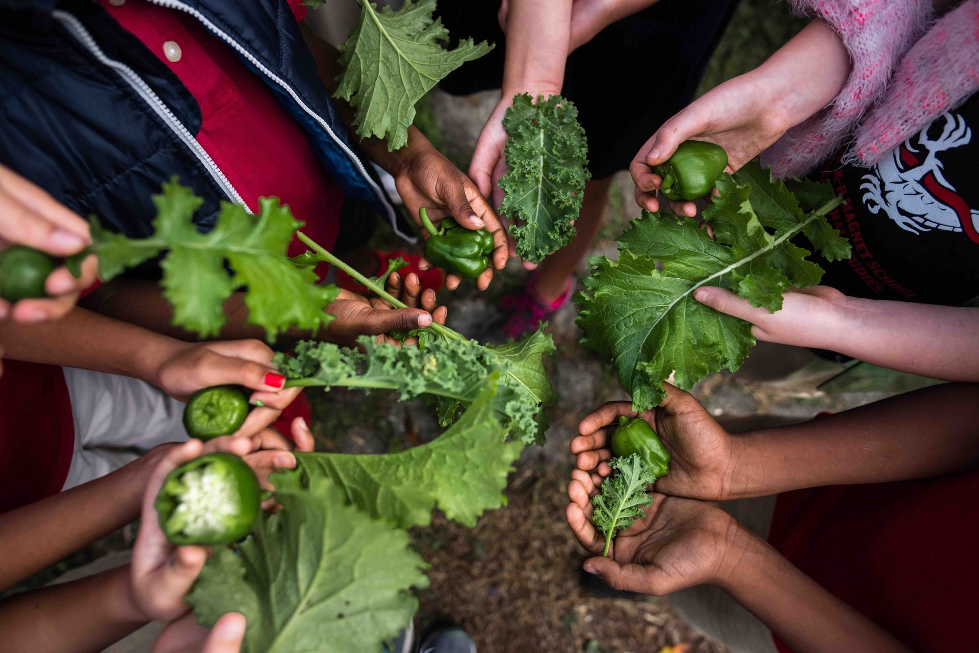 A group of children are holding vegetables in their hands in a circle.