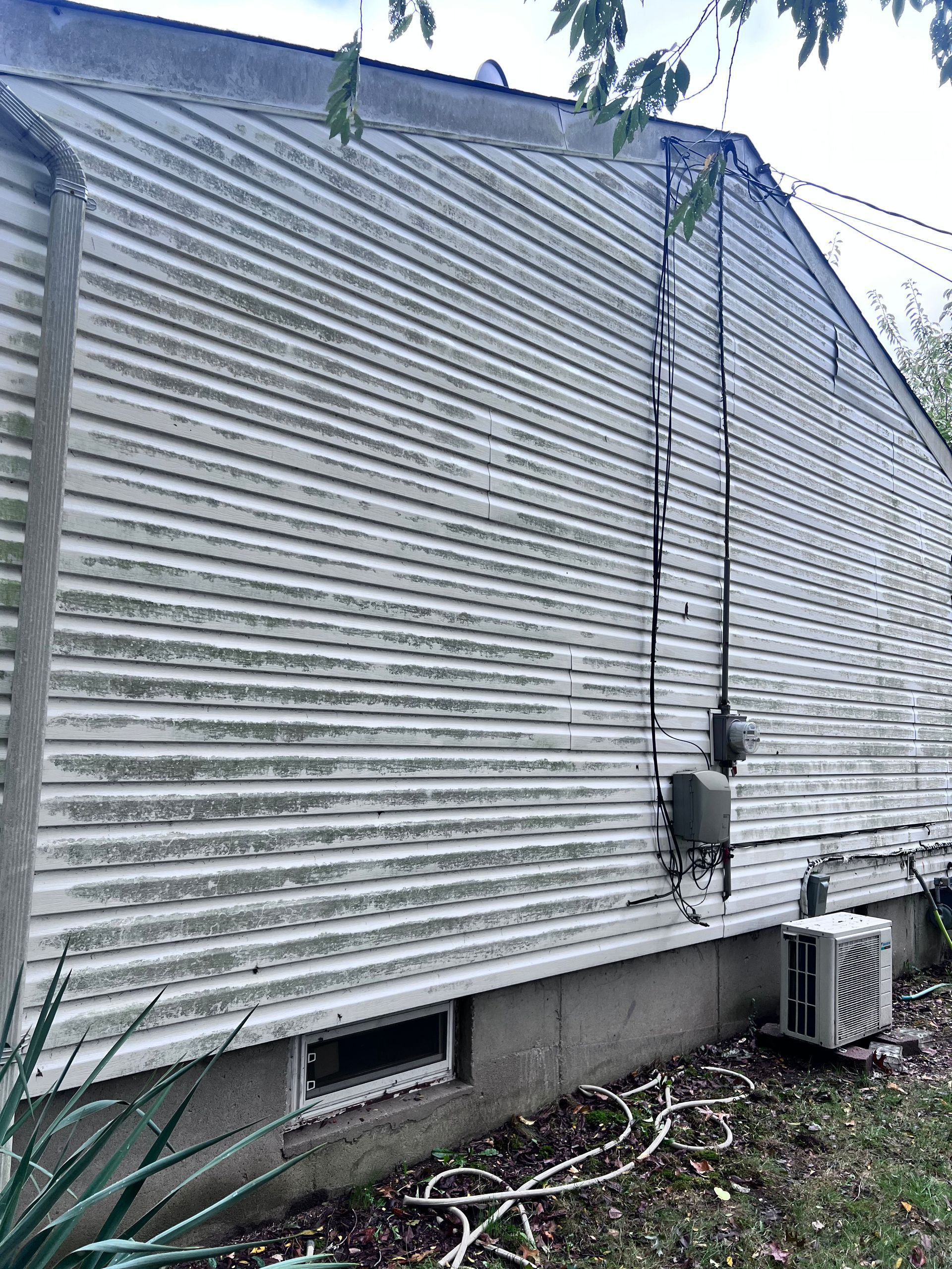 Image showing vinyl siding with mildew growth, highlighting the need for cleaning and maintenance.