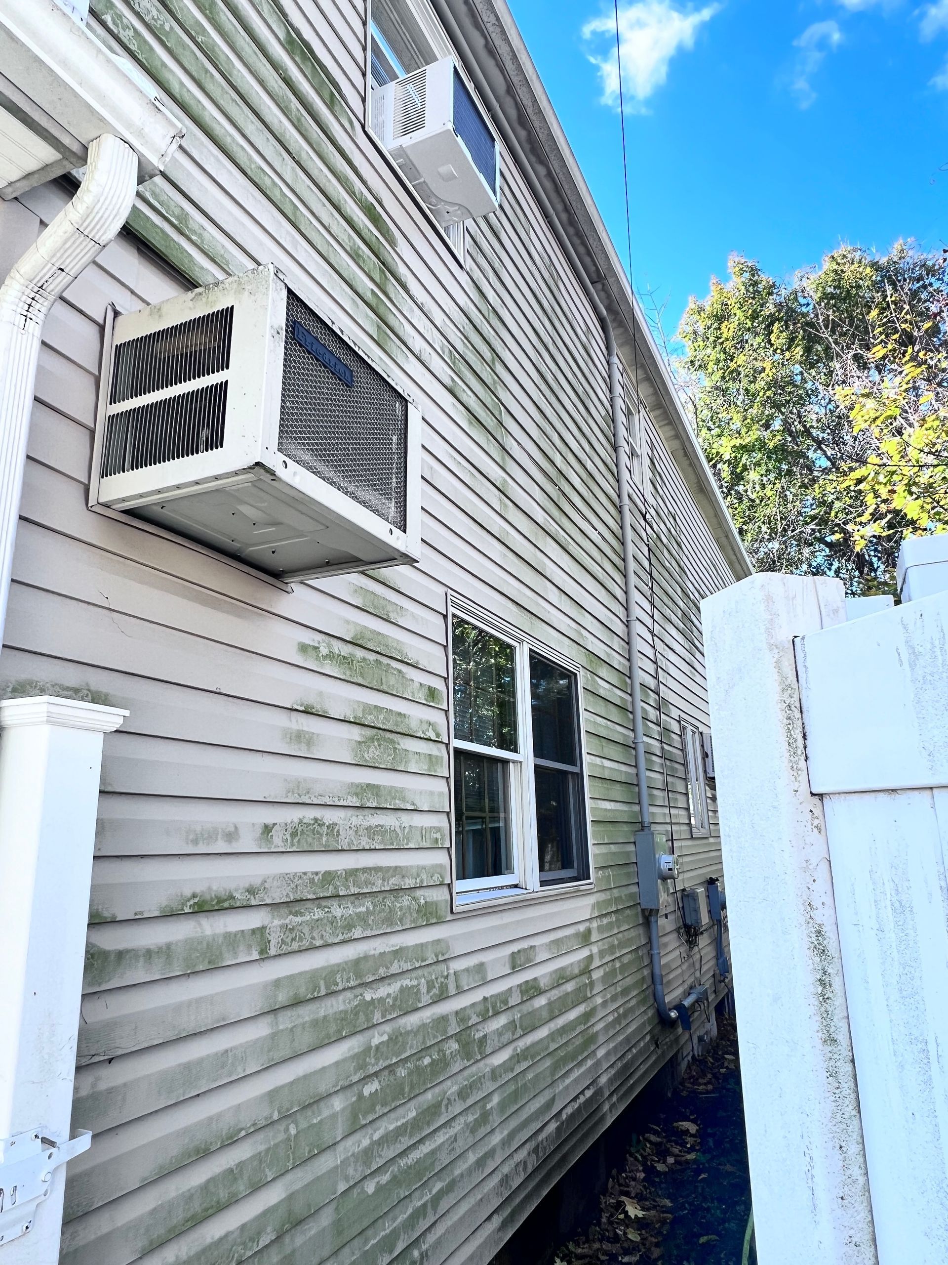 Image showing vinyl siding with mildew growth, highlighting the need for cleaning and maintenance.