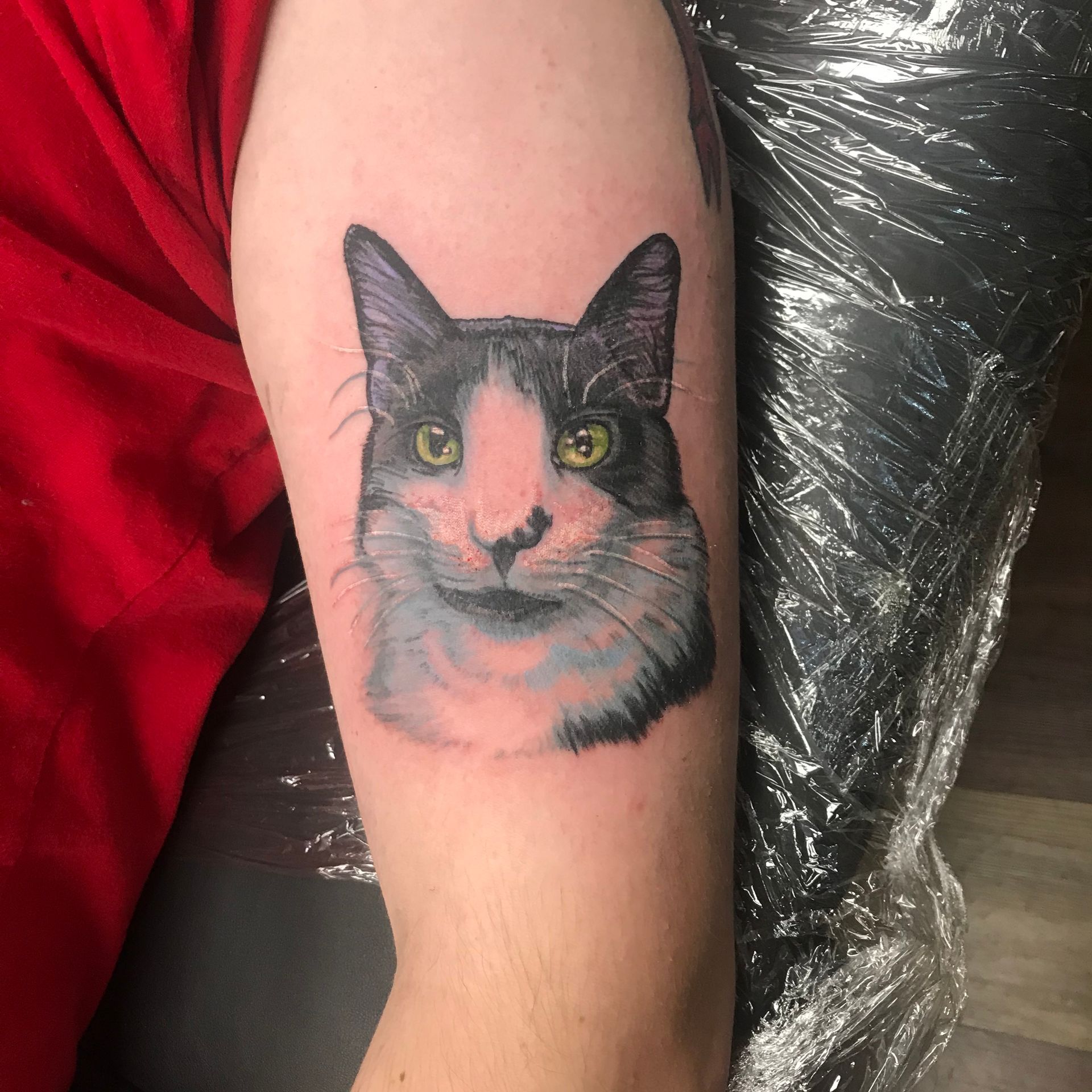 Cat Tattoo