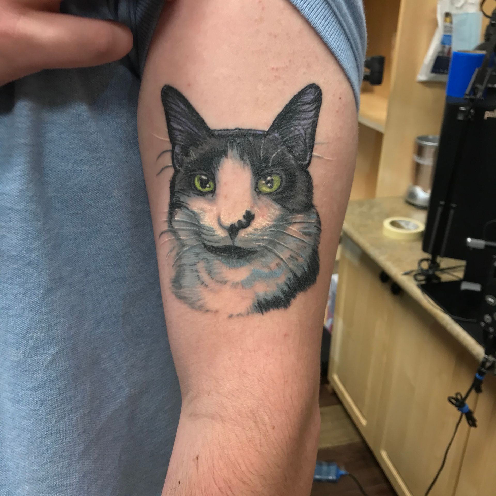 Cat Tattoo with color