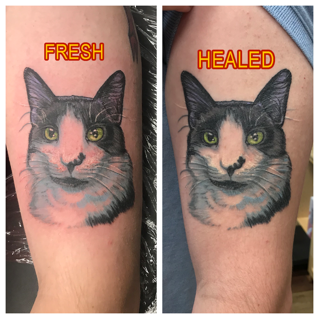 Cat Tattoo