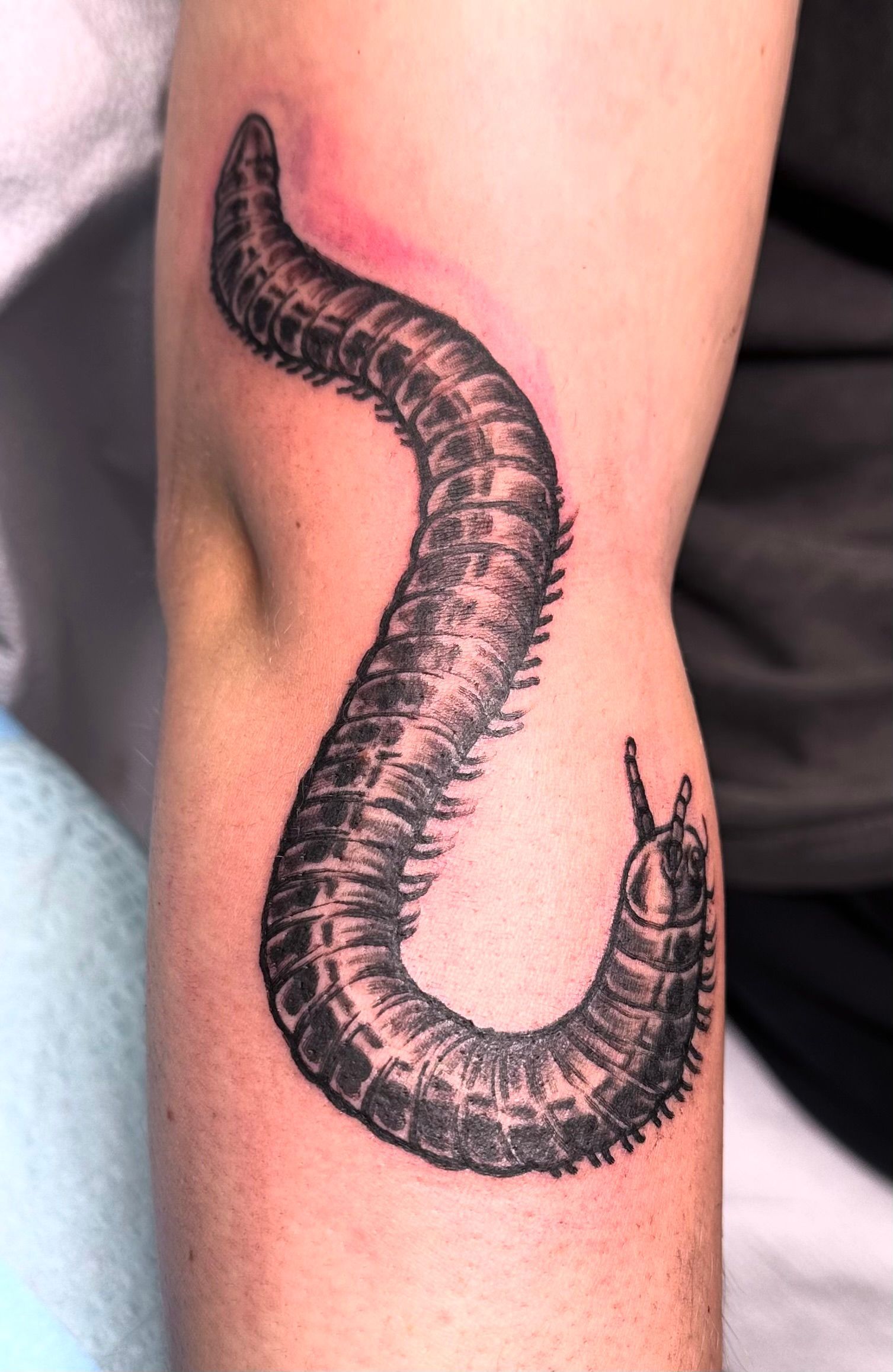 Centipede tattoo
