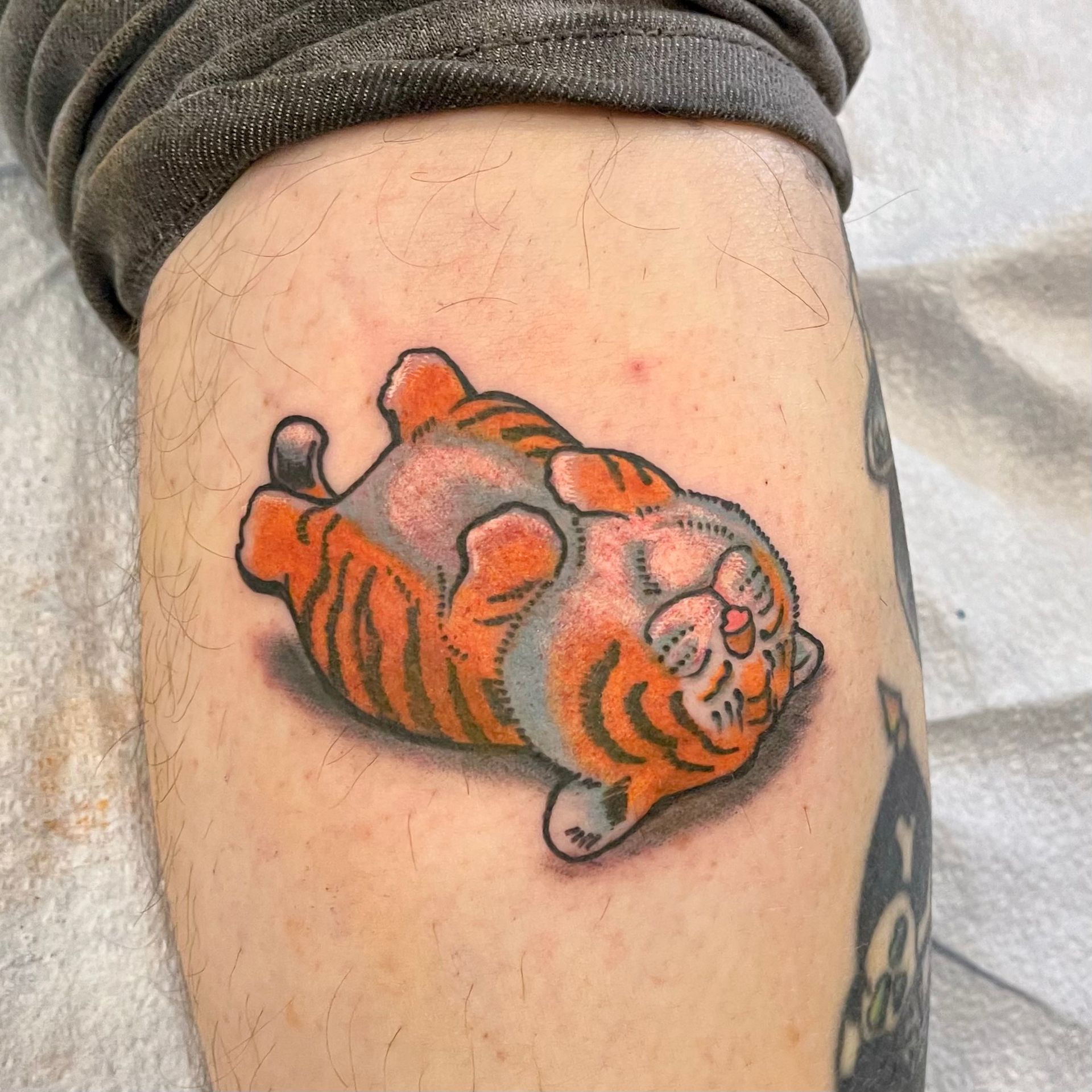 Chubby Tiger on Back Tattoo