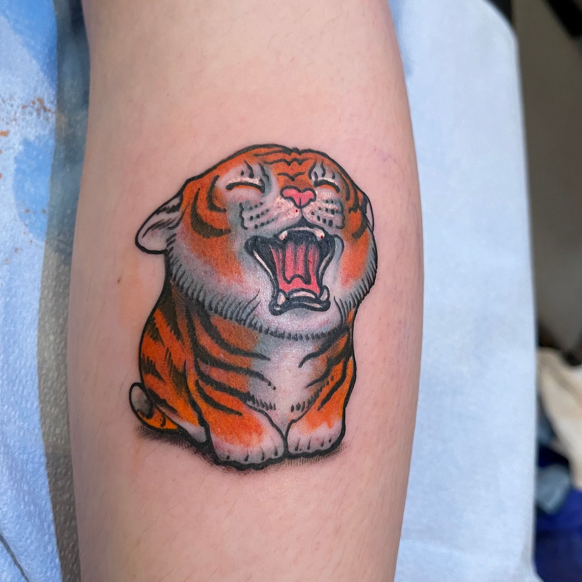 Chubby Tiger Tattoo