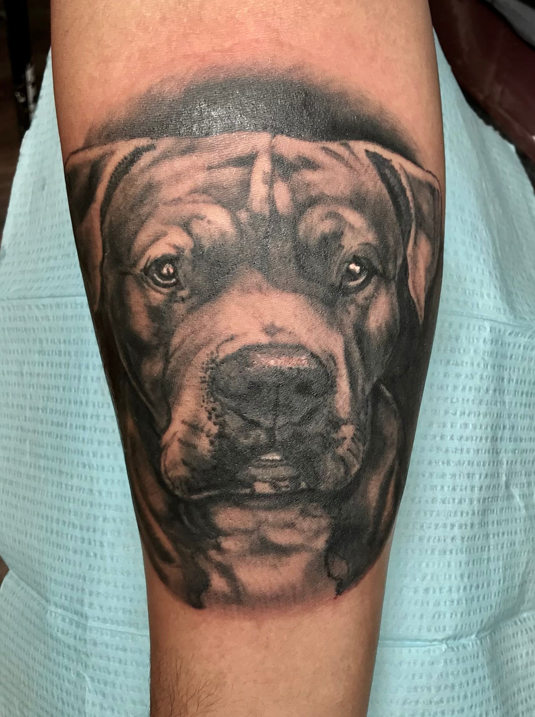 Dog Portrait Tattoo