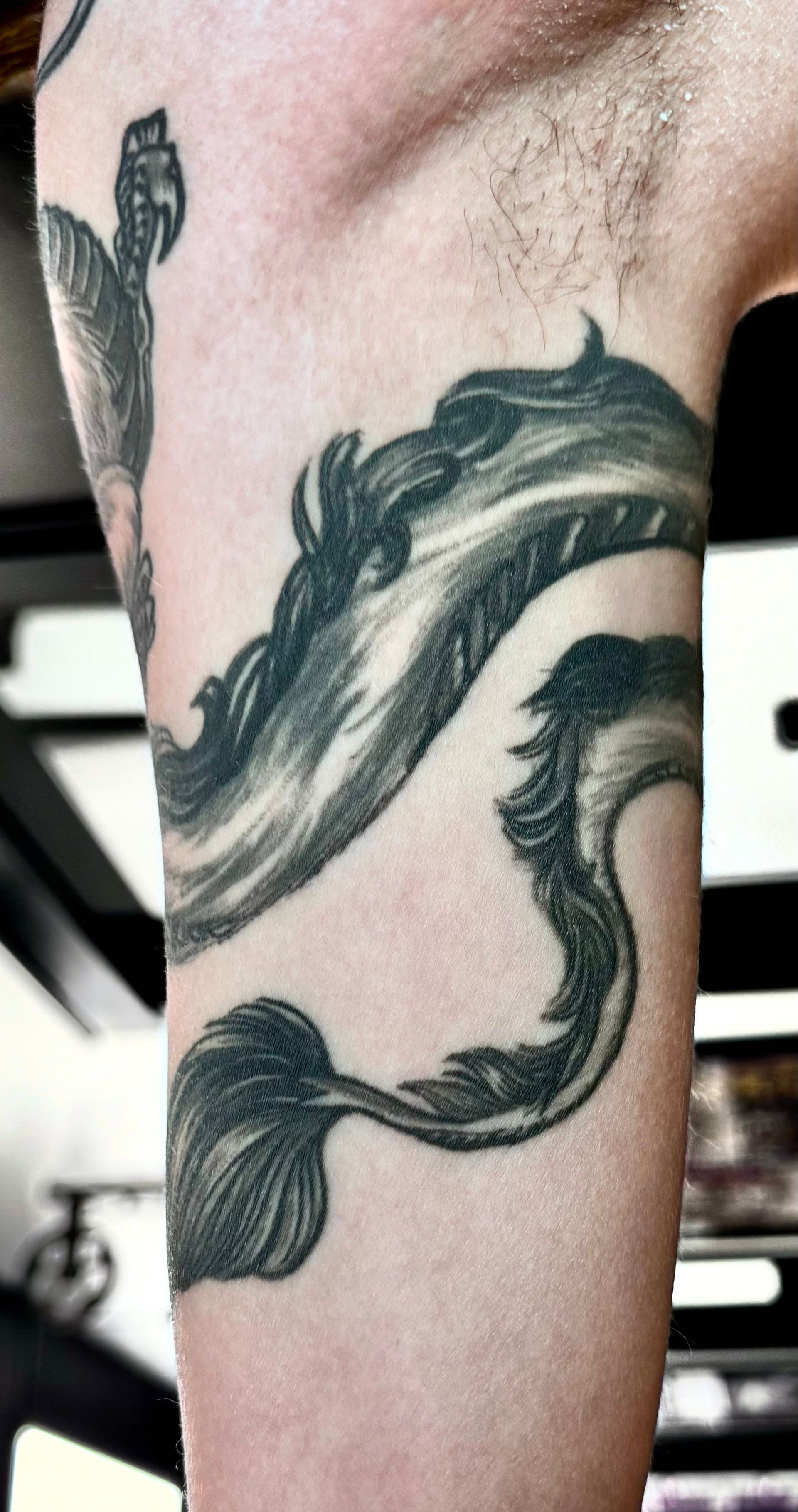 Large Scale Haku Dragon