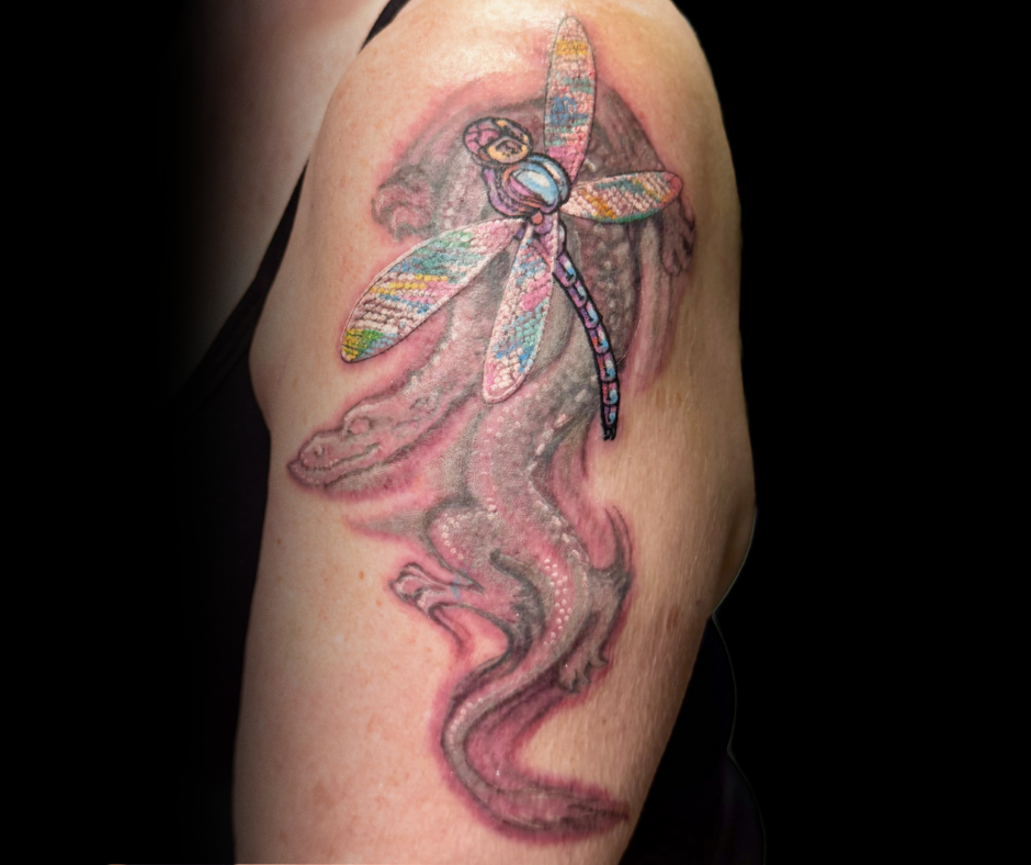 tattoo of traditional dragon with a dragonfly overlay