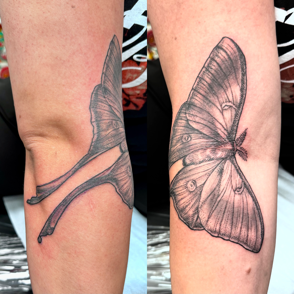 Luna moth tattoo