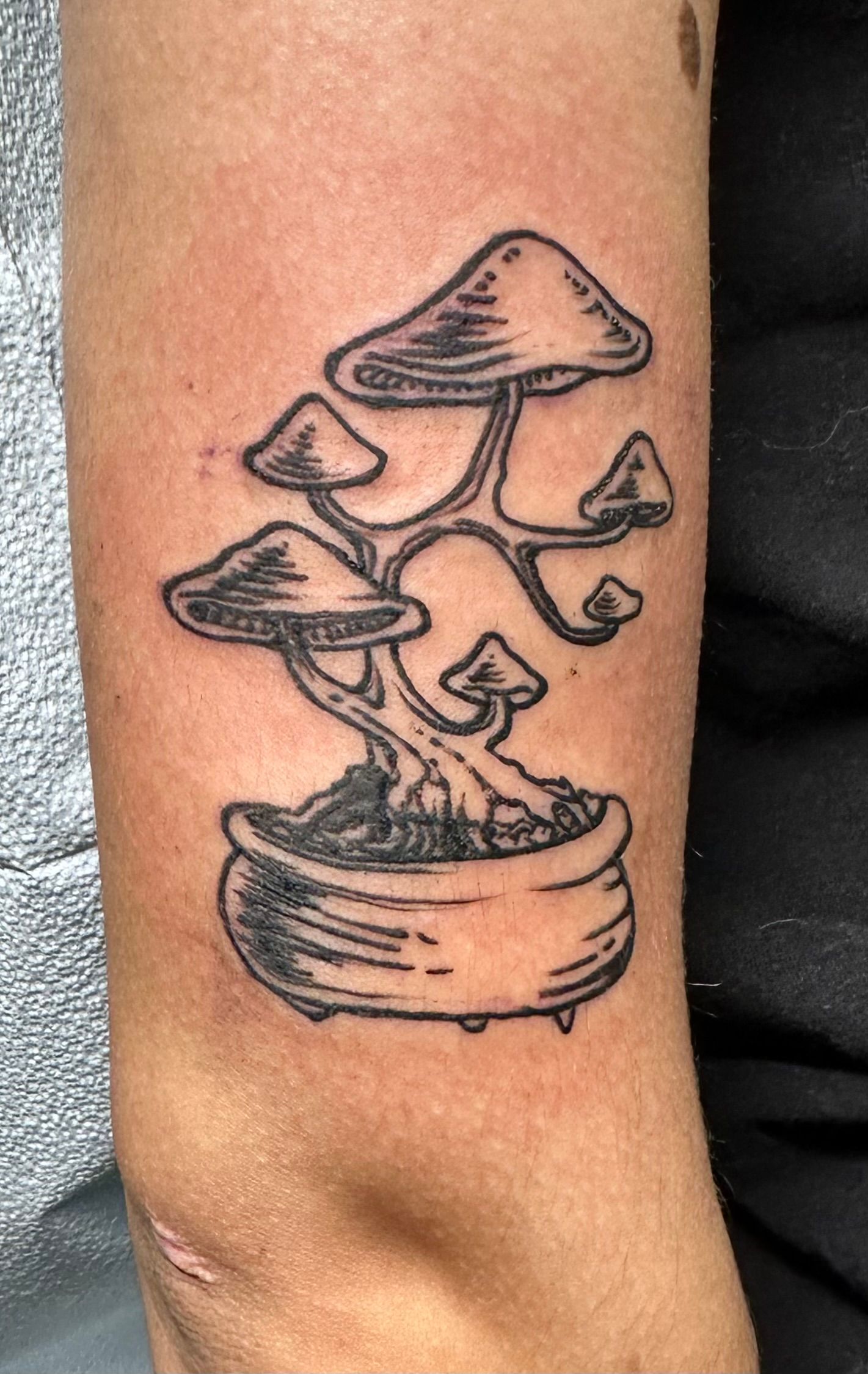 Mushroom Tree Tattoo