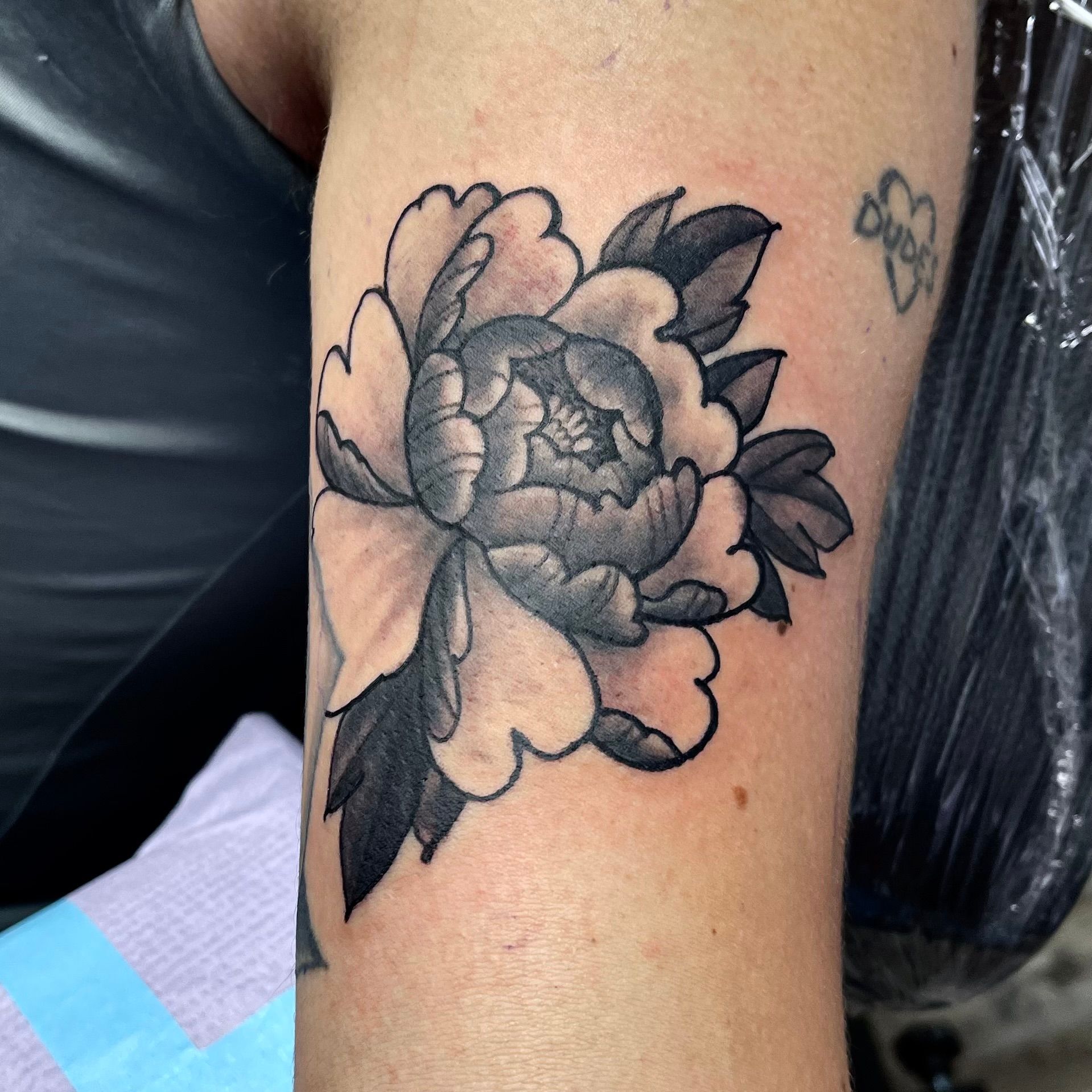 Small peonie tattoo in black and gray