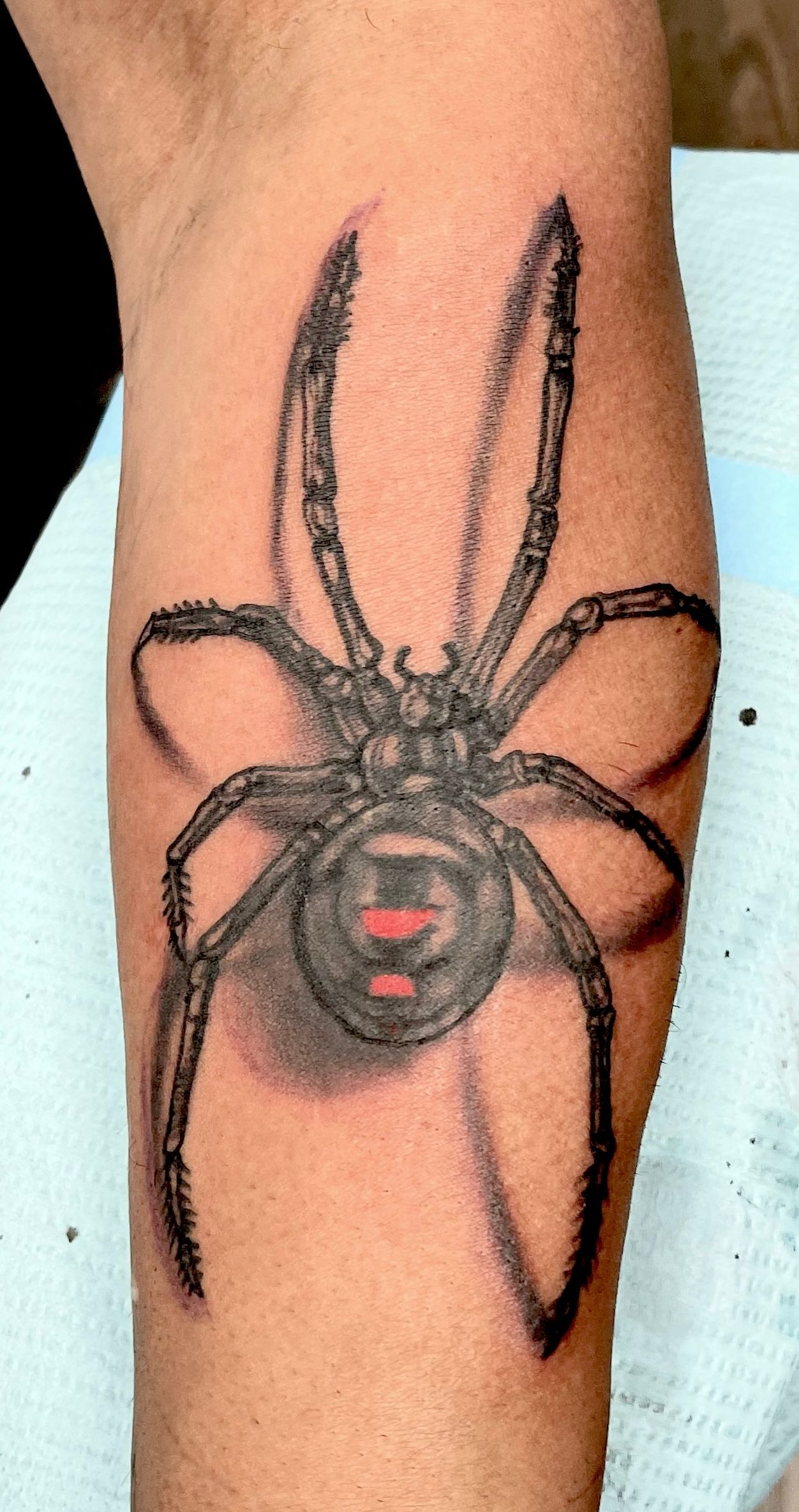 Spider tattoo in 3D