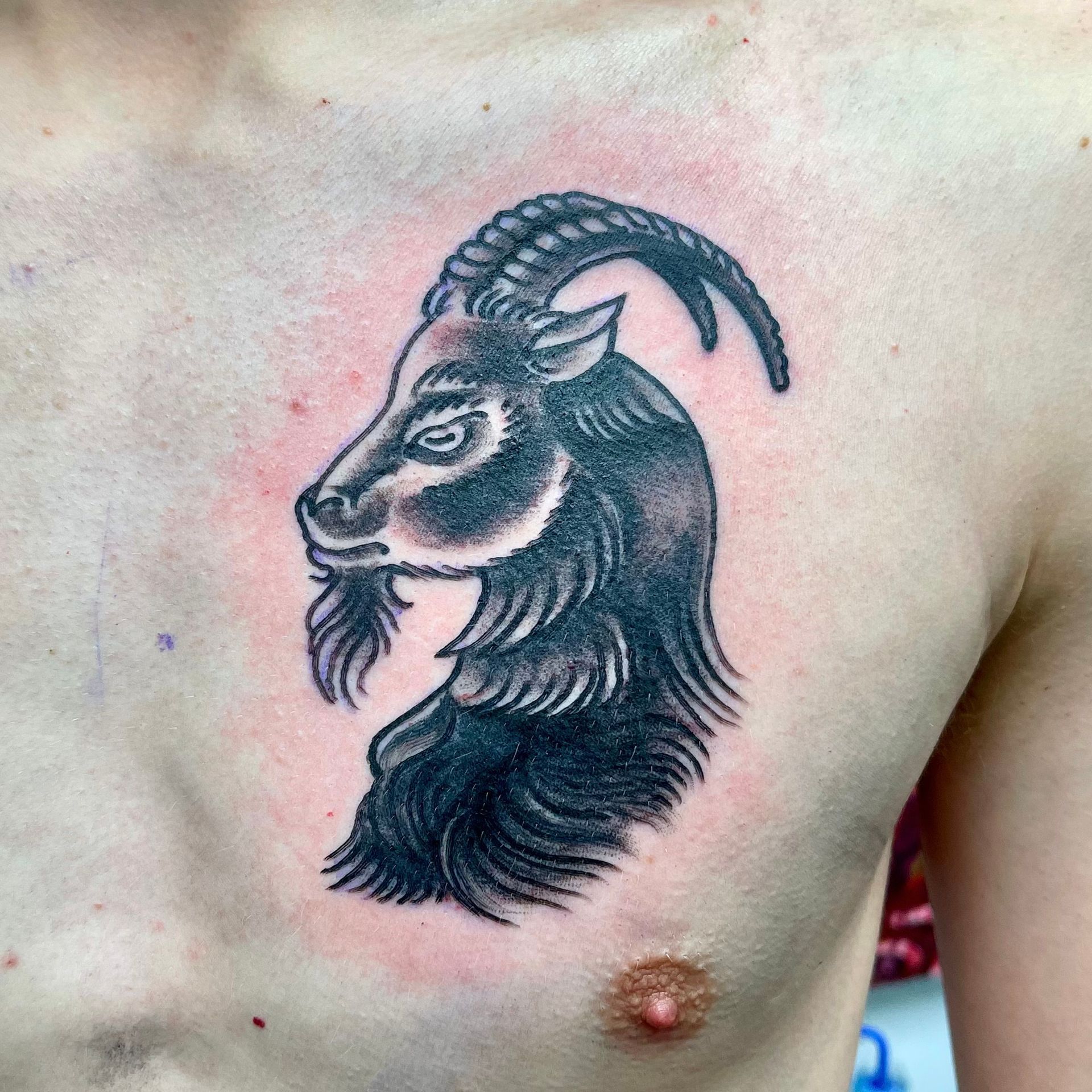 Goat Tattoo