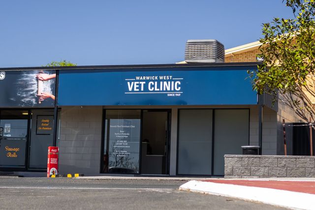 Cheap vet clinic west Shop Black Friday