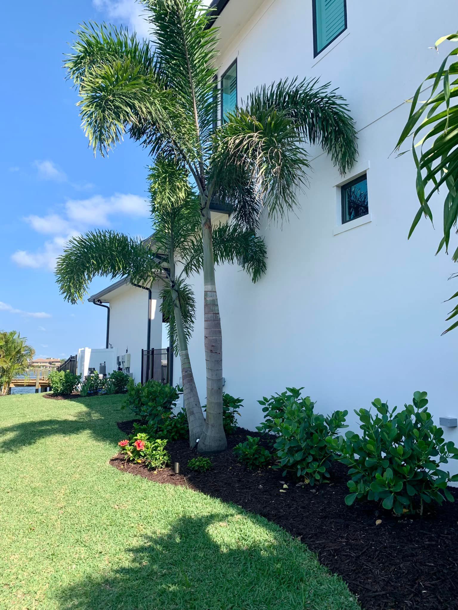 Palm trees next to a white building with green lawn and garden. Blue sky.