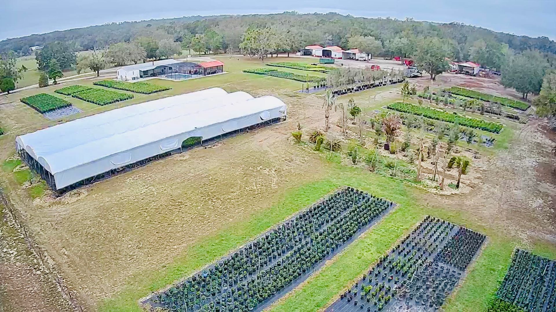 Aerial view of a nursery with greenhouses, rows of plants, and buildings.