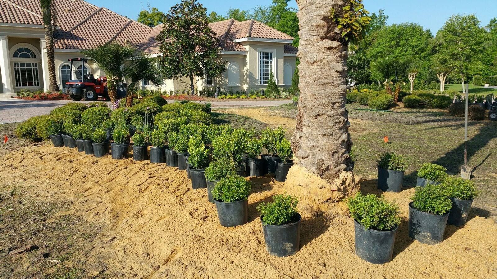 Man using a vibratory plate compactor to compact soil for a walkway next to a house.