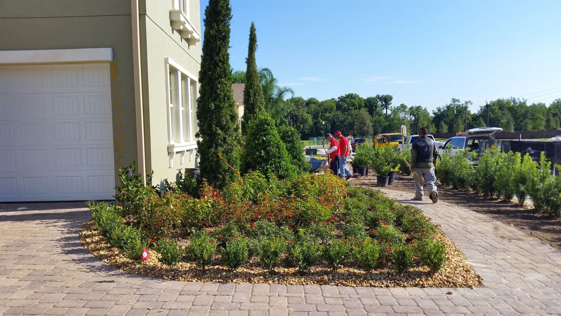 Landscapers planting shrubs in front of a house. Brick driveway. Green and brown hues. Sunny day.