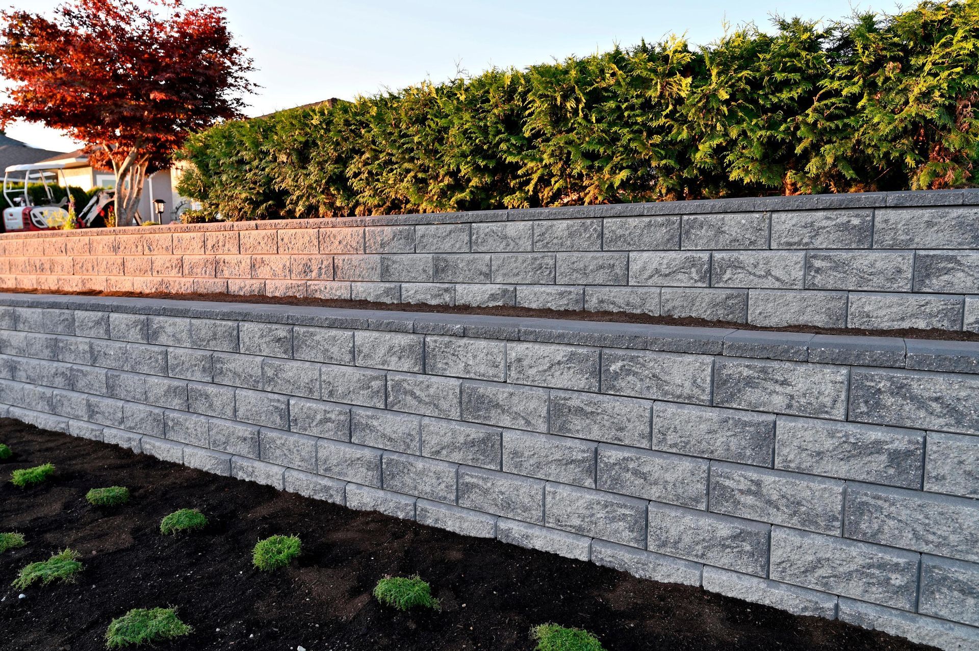 A tiered grey stone retaining wall borders a garden bed with small green plants under a hedge and a tree.
