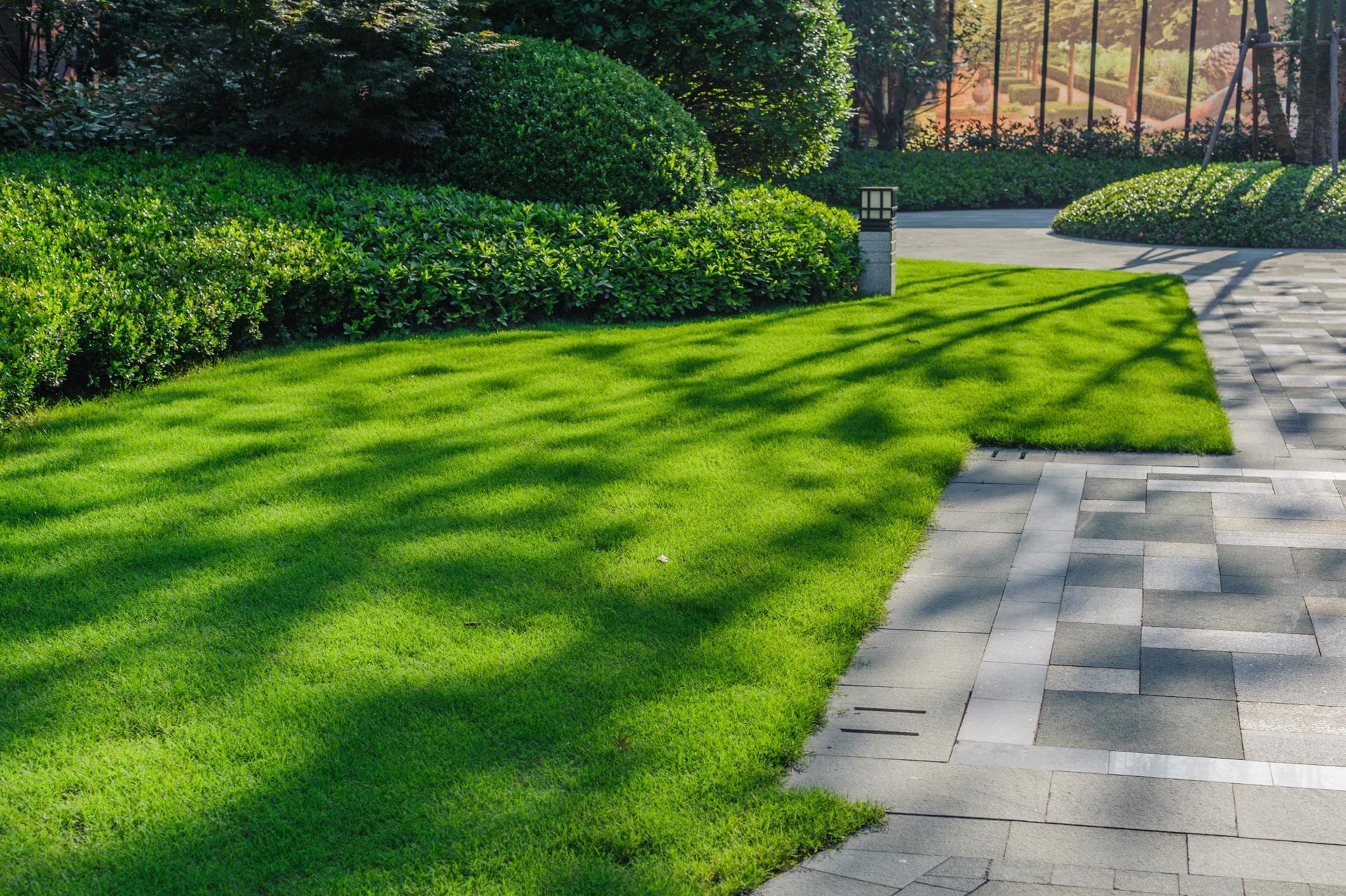 A vibrant green lawn next to a gray stone walkway in a sunny park with shadows cast by trees.