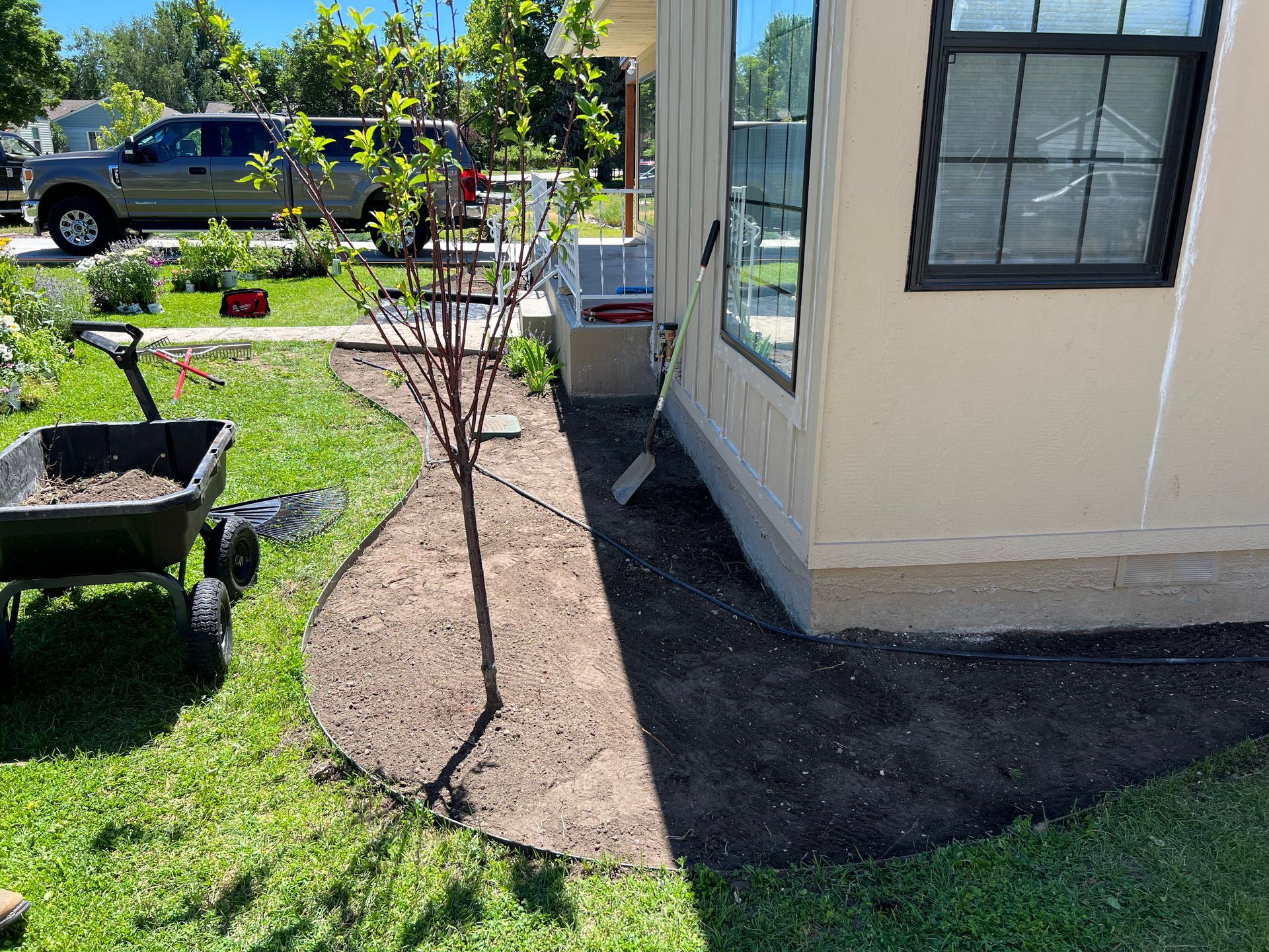 Wheelbarrow and recently mulched garden bed next to a house with a tree.