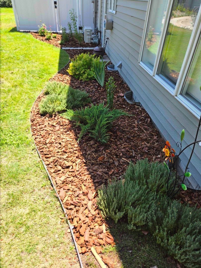 A landscaped flower bed with various green plants and brown mulch along the side of a building and lawn.