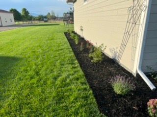 Lawn beside a house with a dark mulch flower bed. Green grass and beige siding.
