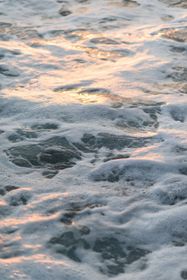Foamy ocean waves with soft pink sunset reflections on the water