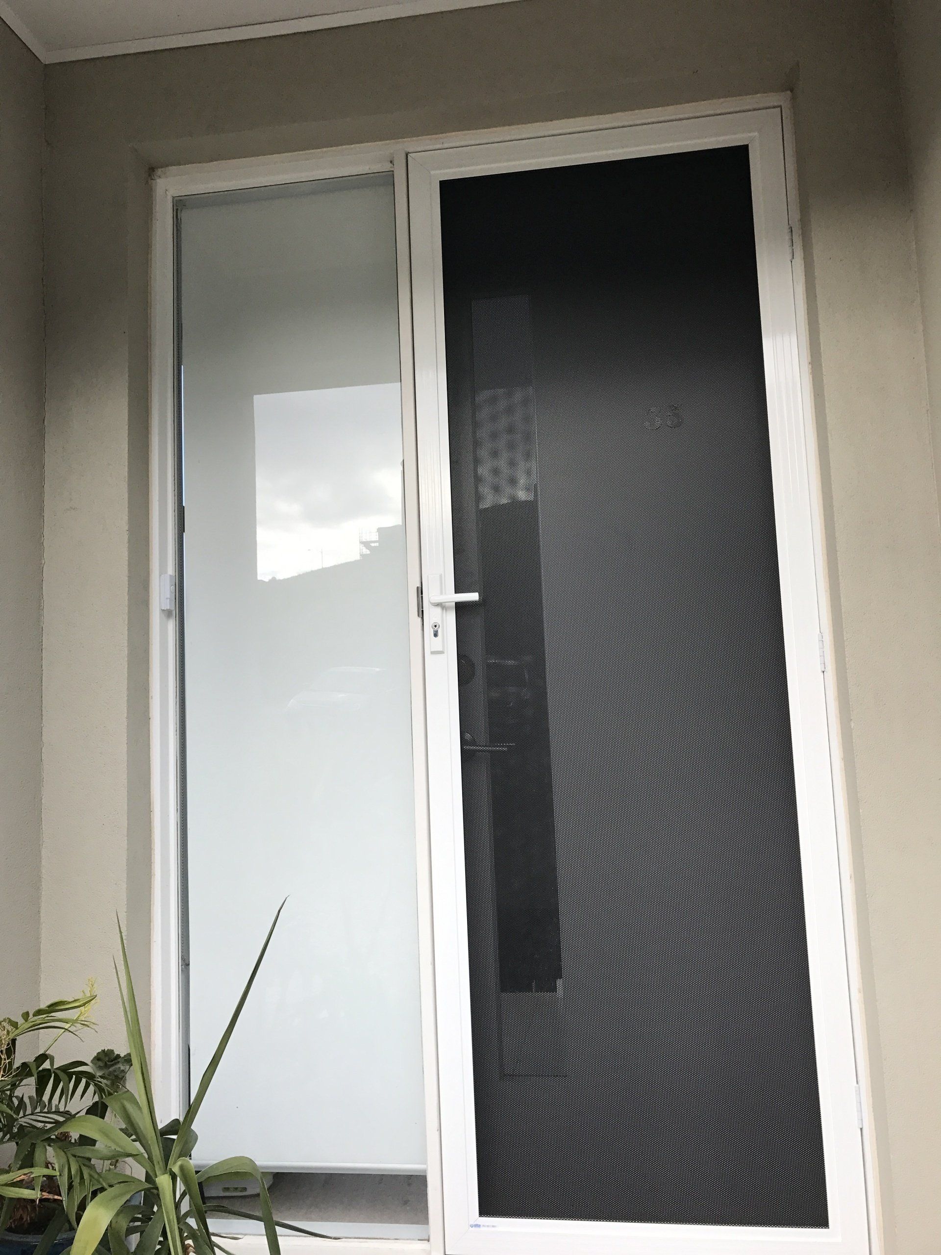 A white door with a black screen and a plant in front of it.
