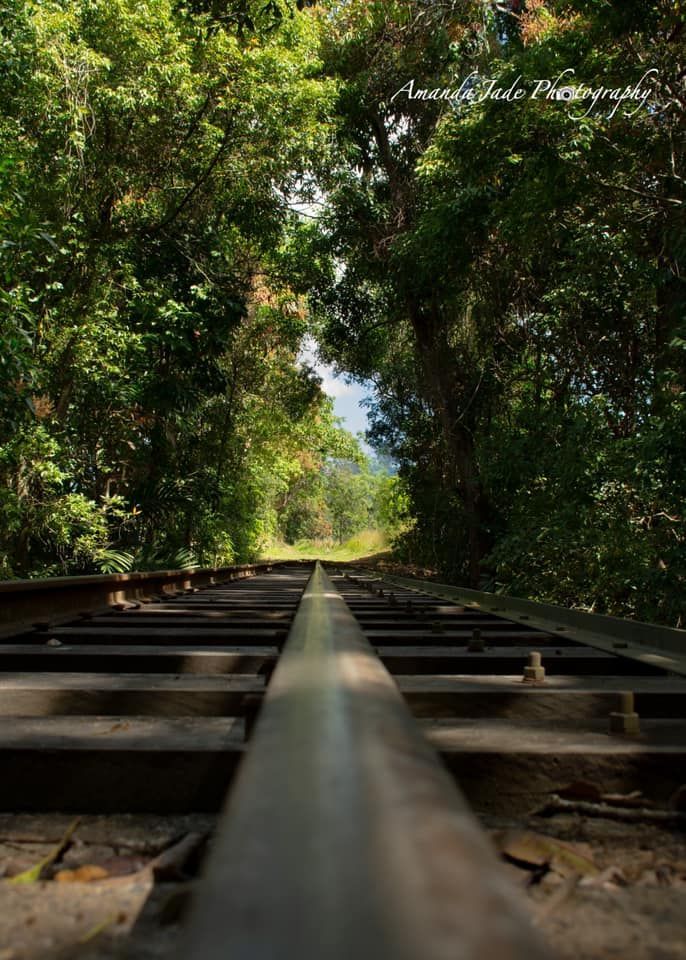 Railroad Tracks Disappearing Into A Tunnel Of Green Trees — Amanda Jade Photography In Gordonvale, QLD