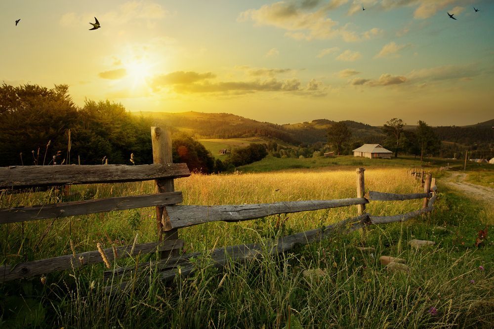 Sunset Over a Field With a Wooden Fence — Amanda Jade Photography In Gordonvale, QLD