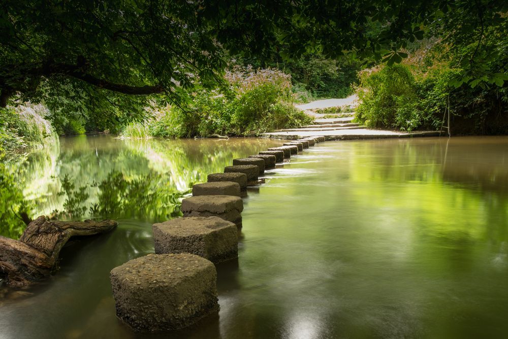 Stepping Stones Cross a Calm — Amanda Jade Photography In Gordonvale, QLD