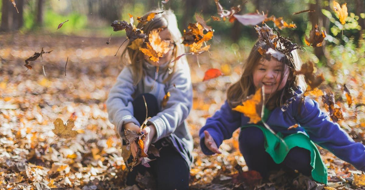 Kids throwing leaves