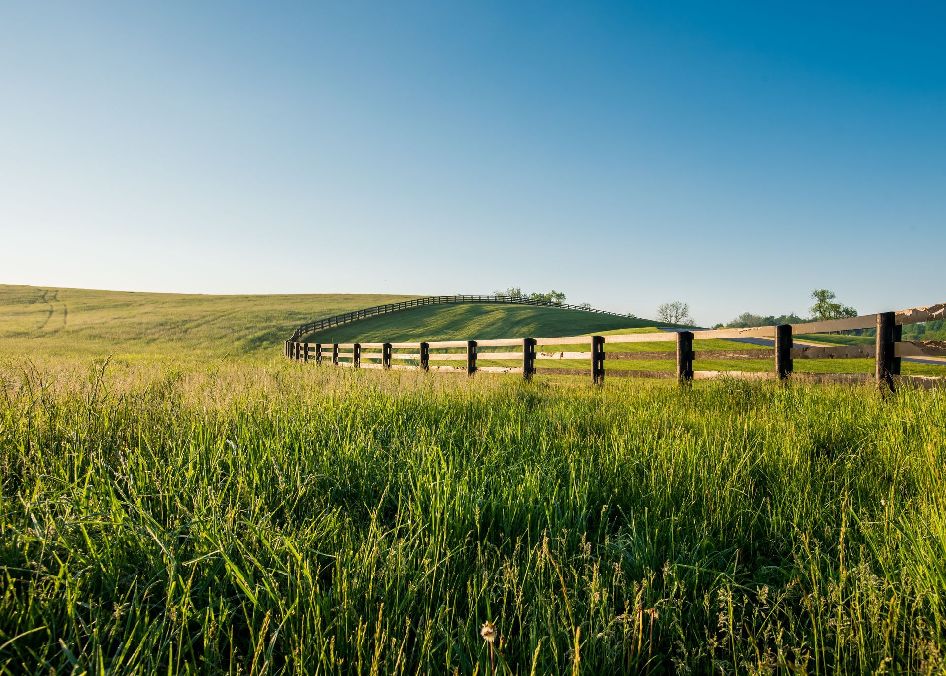 Grassy field with wooden fence under a clear blue sky.