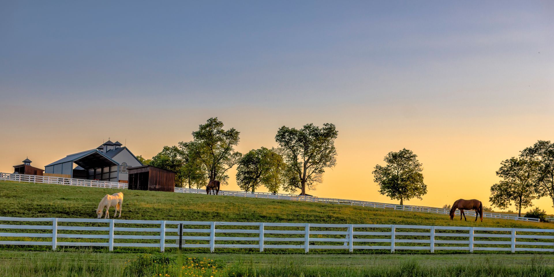 Farm landscape with white fence, horses grazing, trees, and a barn at sunset.