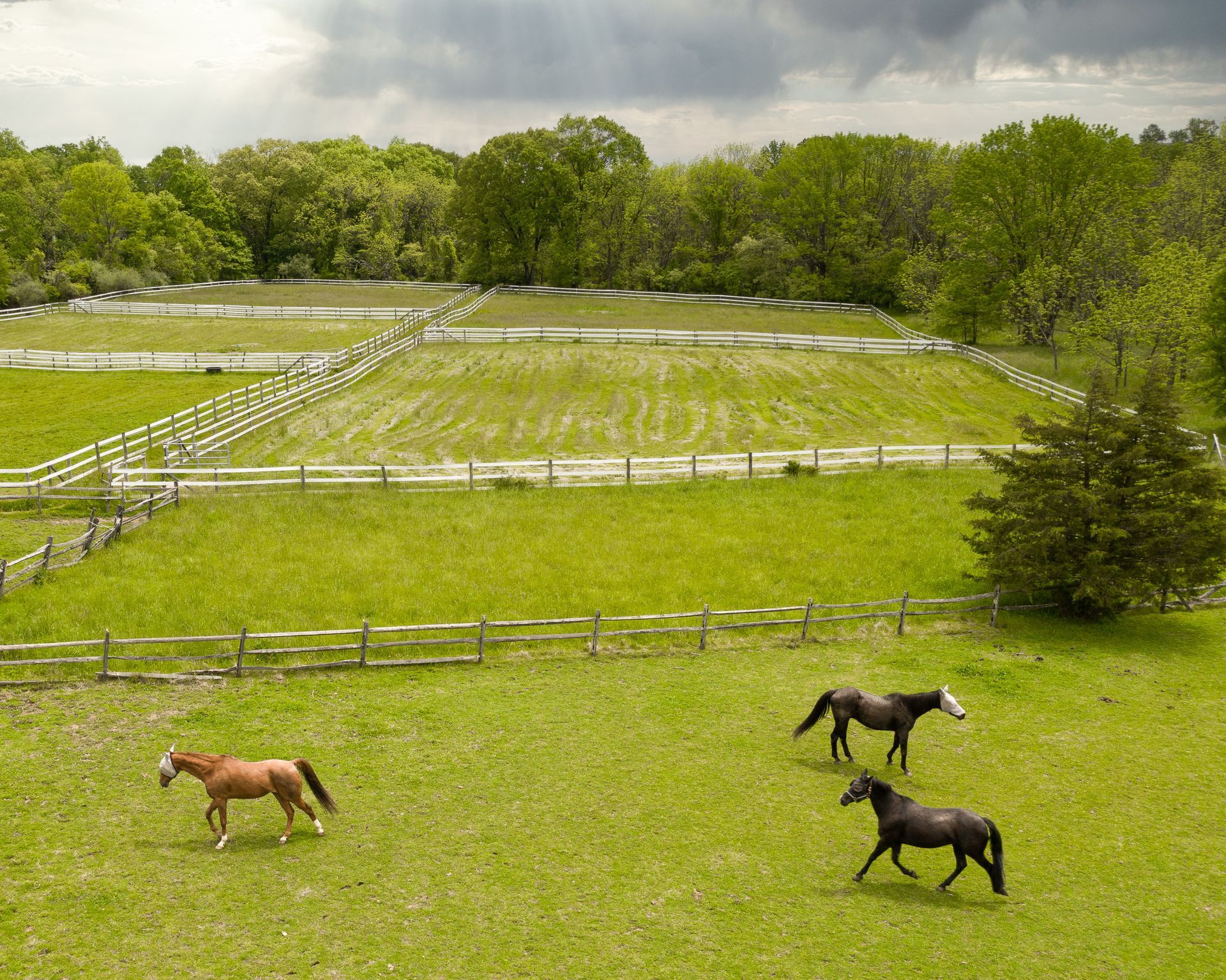 Three horses graze in a green pasture with white fences and trees under a cloudy sky.