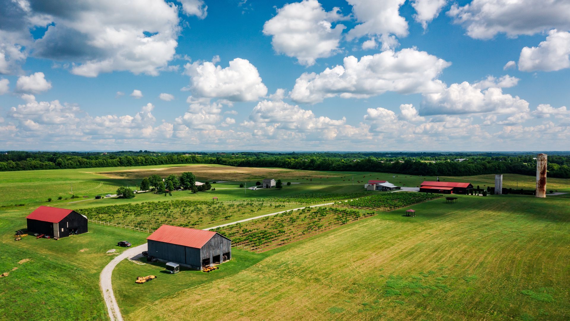 Rolling green farmland with barns under a blue sky dotted with clouds.
