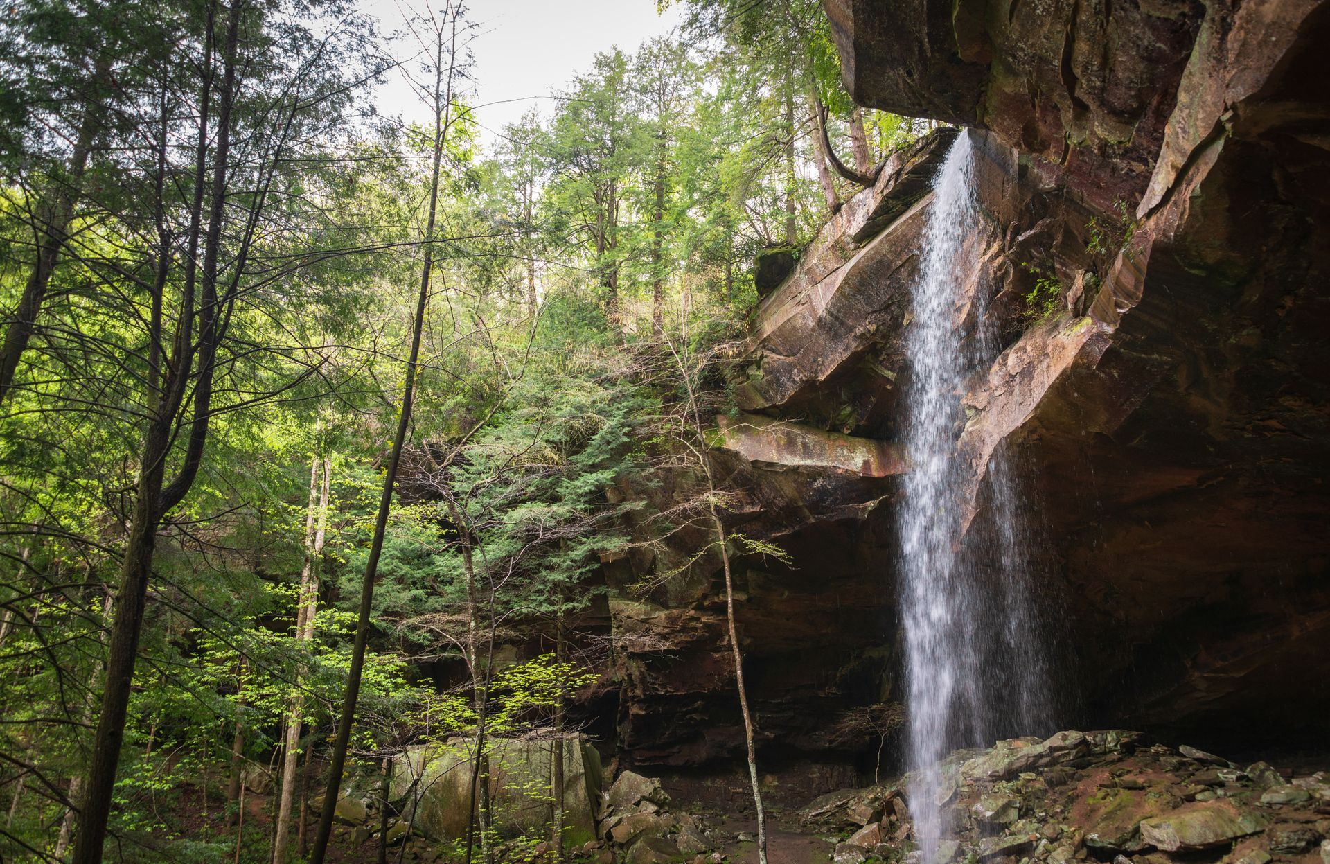 Waterfall cascading over a rocky cliff into a lush forest, with green trees and foliage surrounding it.
