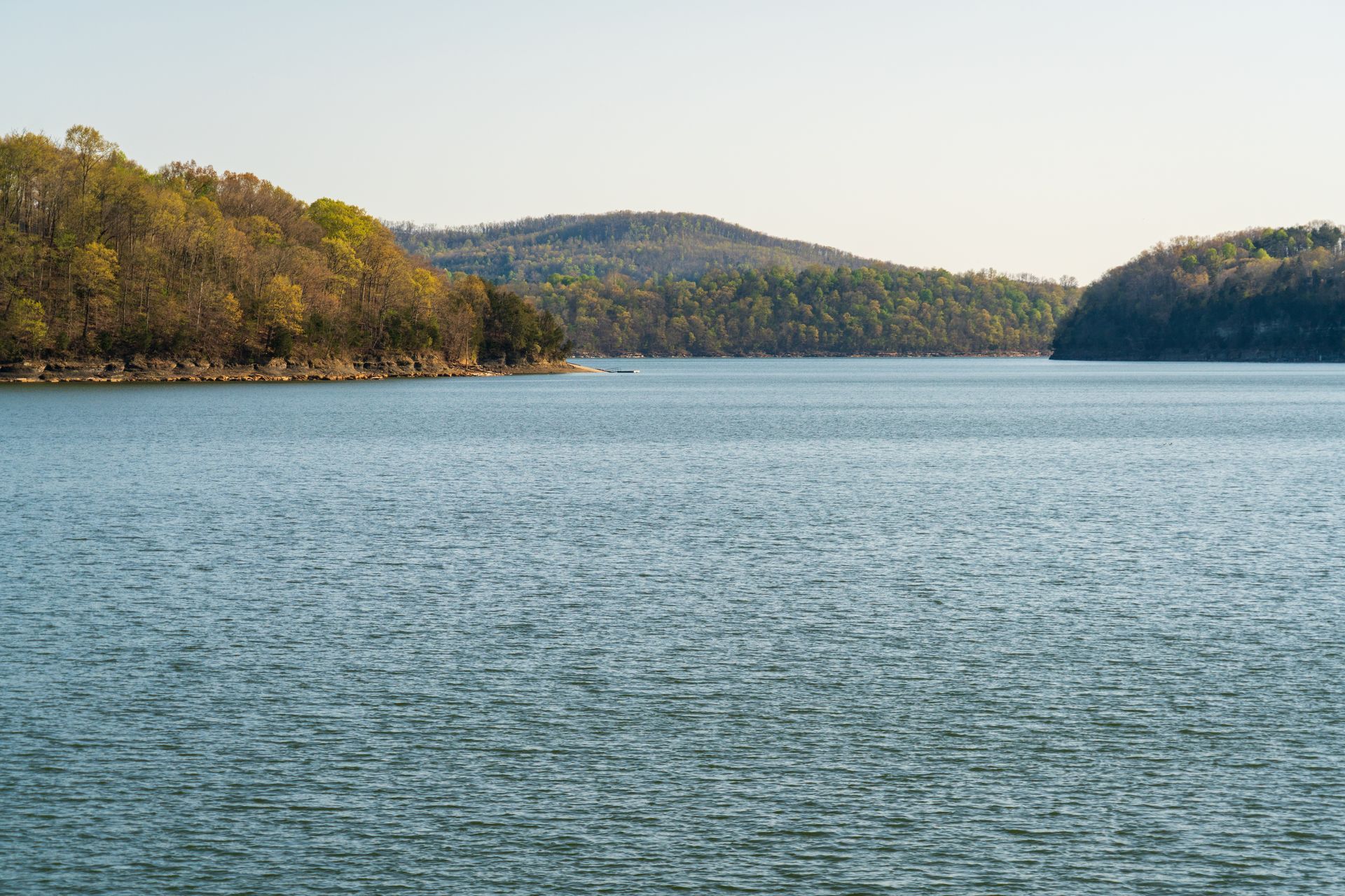 A scenic image of Lake Cumberland in Kentucky with calming waters and lush trees