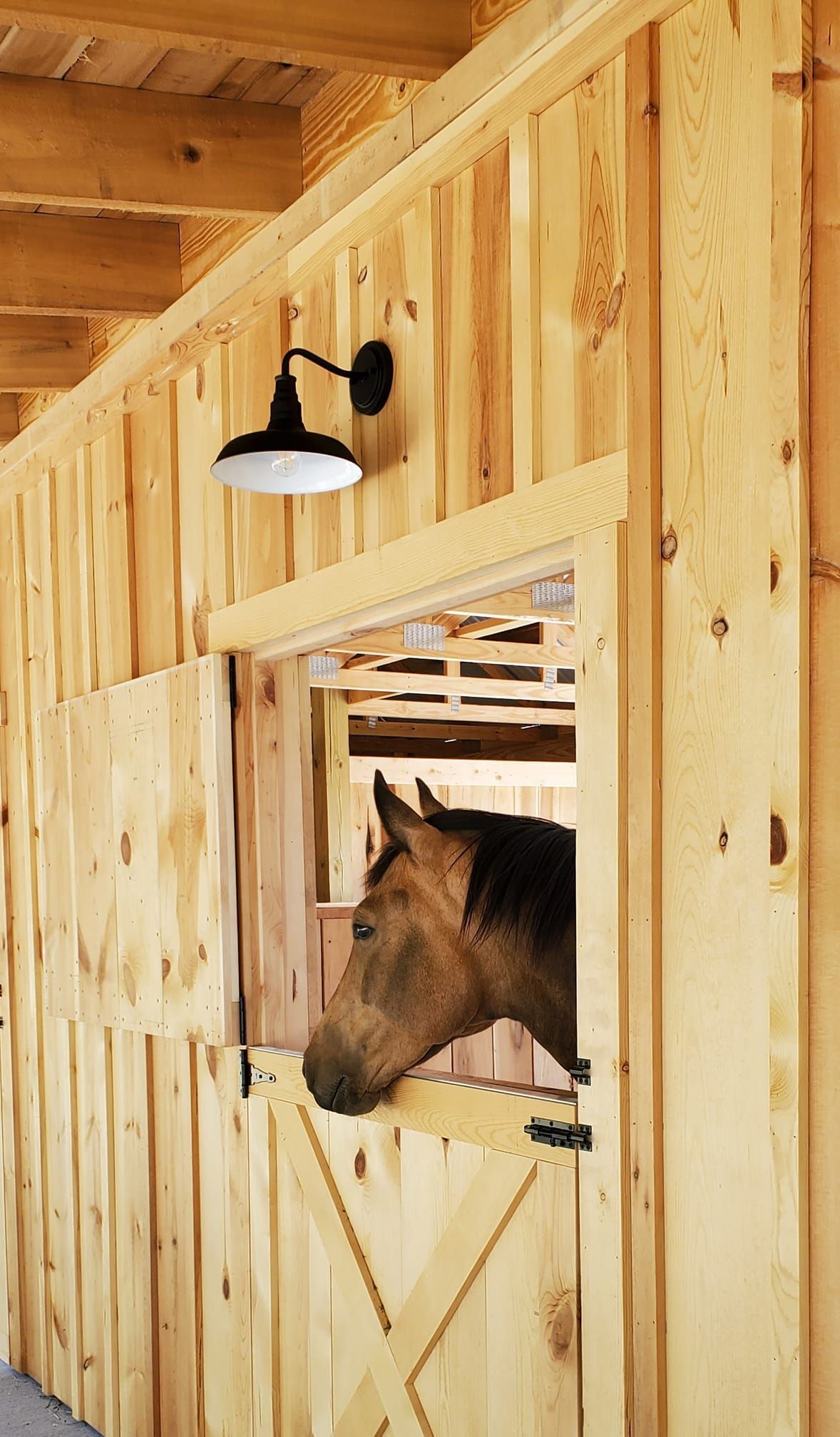 Brown horse looking out of a wooden stall window; black barn light above.