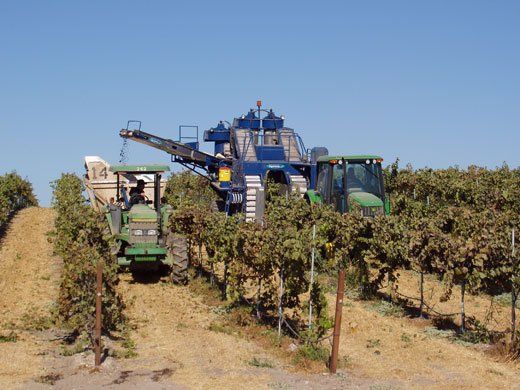 grape-harvester