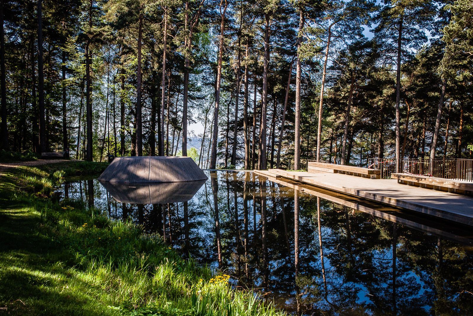 A reflective pool an tall trees in the background. 