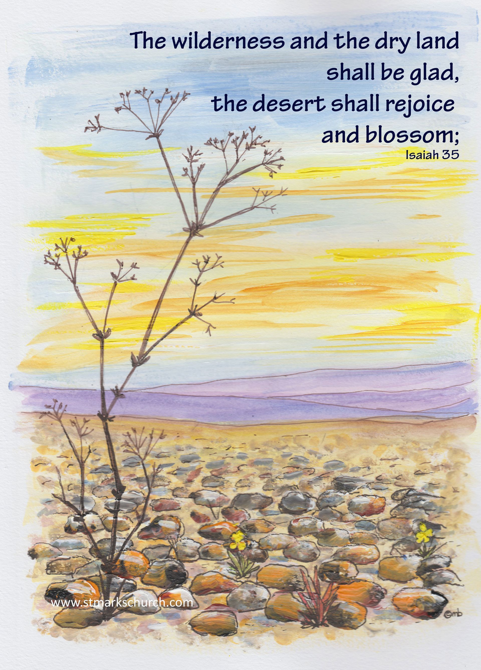 The desert rejoicing - Isaiah 