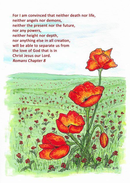 Drawing of poppies for Remembrance Sunday