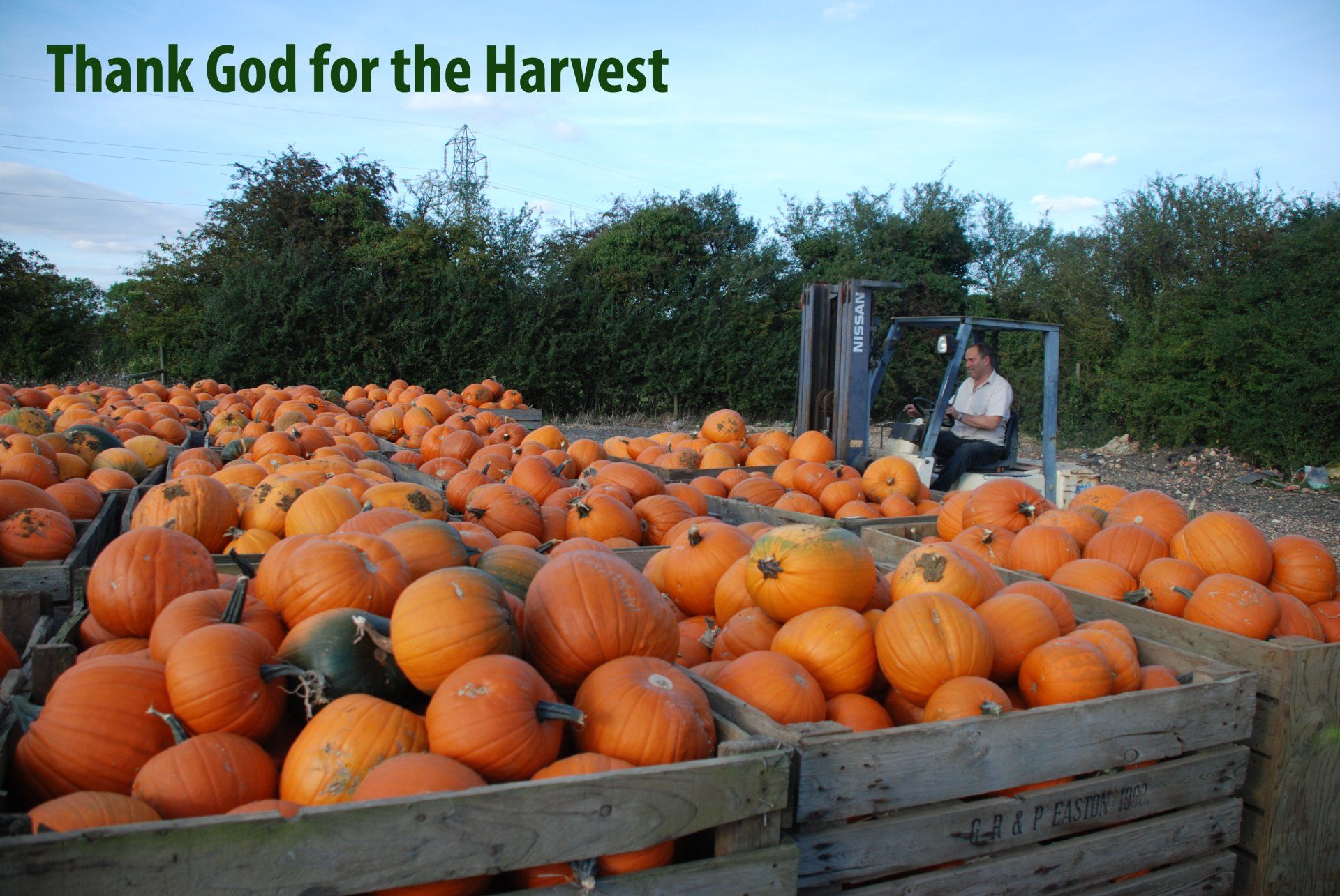 Harvest photo at Pells Farm, Bedford